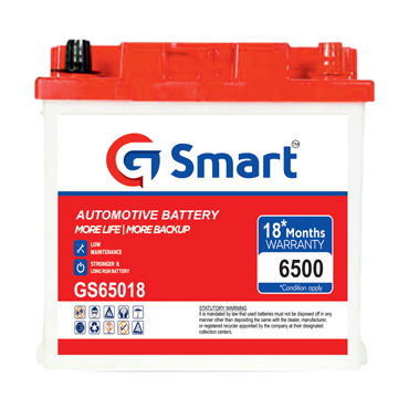 Gsmart Automotive Battery
